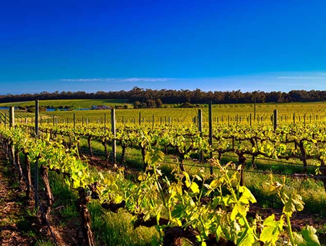 AdobeStock_192326324  -Margaret River - Climate - 670x505.jpg